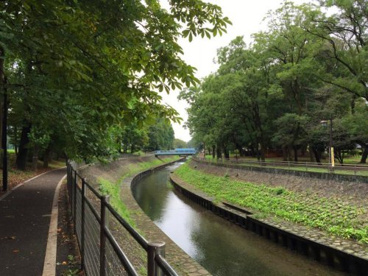 善福寺川緑地の画像1