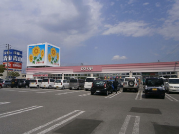 生協ひまわり館の画像1