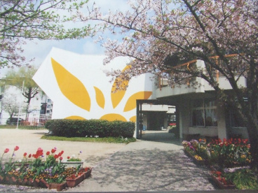 加茂幼稚園の画像1