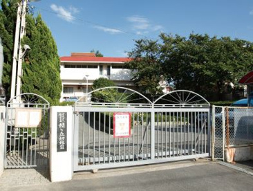 緑ヶ丘幼稚園の画像1