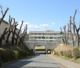 千葉市立源小学校の画像