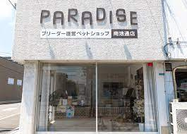 の画像