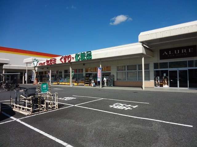 の画像
