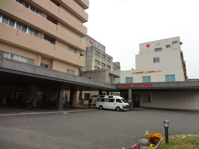 の画像