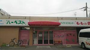 の画像
