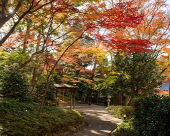シェラトン都ホテル東京 日本庭園の画像1