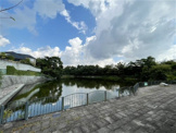 公園 仲ノ池緑地
