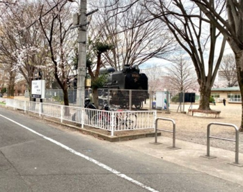 荒川公園の画像1