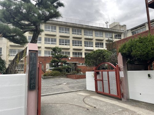 の画像