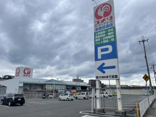 の画像