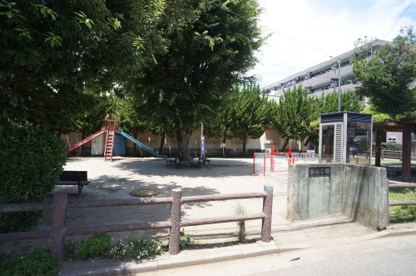 金山公園の画像1