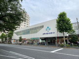 ドラッグセガミ 練馬店