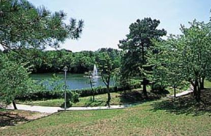 樫ノ木公園の画像1
