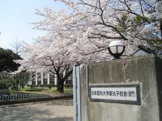 日本医科大学新丸子校舎の画像1
