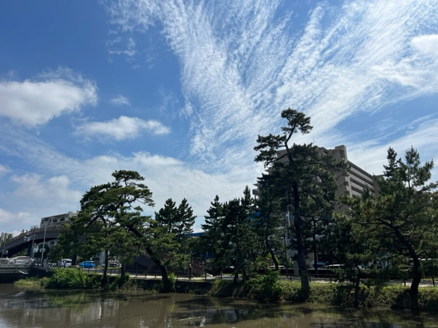 の画像
