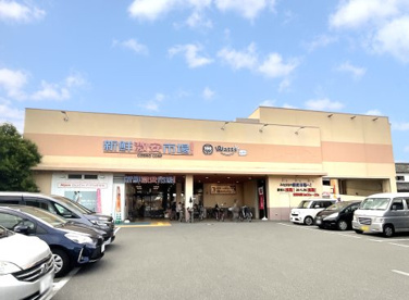 新鮮激安市場【伏見丹波橋店】の画像1