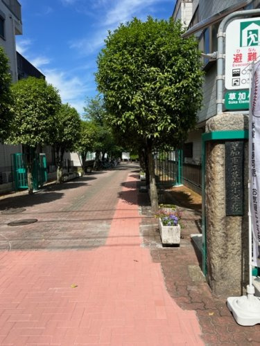 の画像