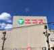 エコス 境SC店の画像