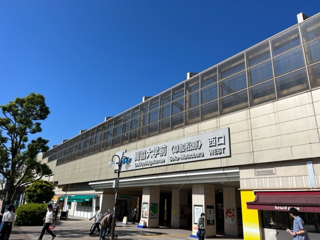 の画像