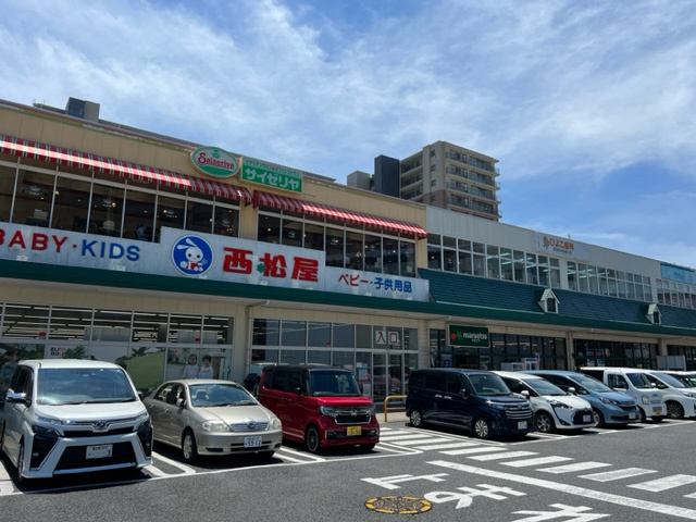 の画像