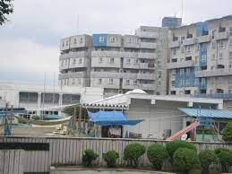 の画像