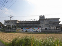 前橋市立 わかば小学校