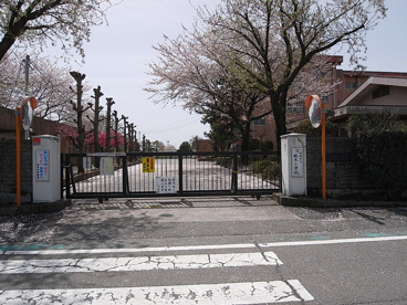 前橋市立 桃木小学校の画像1