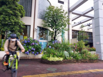 三鷹市連雀コミュニティセンター