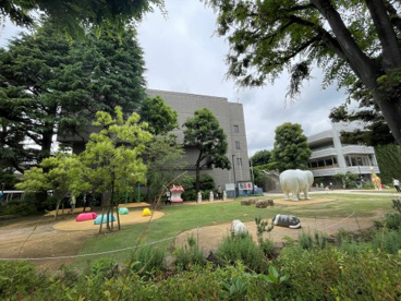 練馬区立 美術の森緑地の画像1