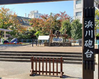 新浜川公園の画像1
