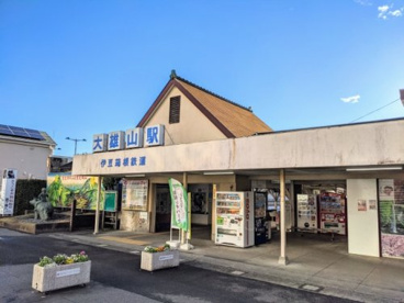 大雄山駅の画像1