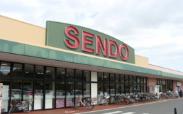 の画像