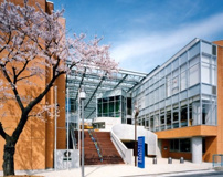 志木市立志木小学校