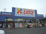 スーパードラッグシグマ　花園店