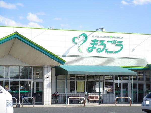 の画像