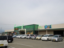 セキチュー　前橋駒形店