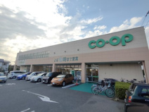 コープみらい コープ東岩槻店