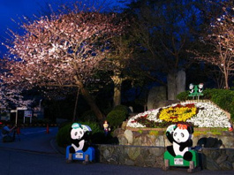 神戸市立王子動物園