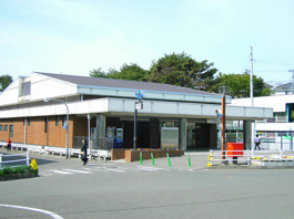 黒松(宮城県)
