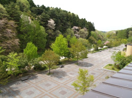 台原森林公園