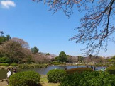 横浜市こども自然公園