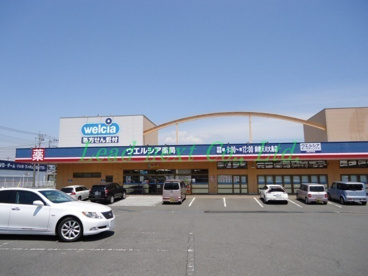 ウエルシア薬局　前橋天川大島店の画像1