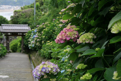成就院の画像1