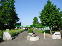 下小出中央公園