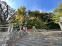 公園 灘丸山公園