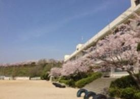 茨木市立 山手台小学校の画像1