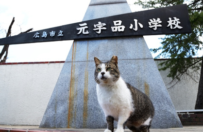 広島市立 元宇品小学校の画像1