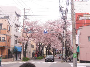 大踏切通りの画像3