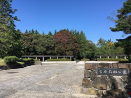 台原森林公園(台原入口)