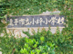 逗子市立小坪小学校の画像